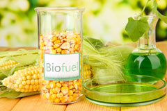 Hampers Green biofuel availability